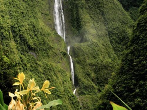 a waterfall on the side of a mountain with flowers at La villa de la Rivière du mât in Saint-André