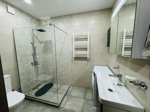 a bathroom with a shower and a sink and a toilet at Tbilisi-apartment in Tbilisi City