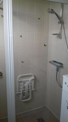 La salle de bains est pourvue d'une douche avec un tabouret. dans l'établissement morel, à Cluses