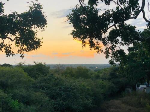 a sunset view from a hill with trees at Eagle Eye Yala in Yala