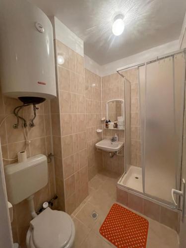 y baño con ducha, aseo y lavamanos. en Muntele Semenic, en Semenic