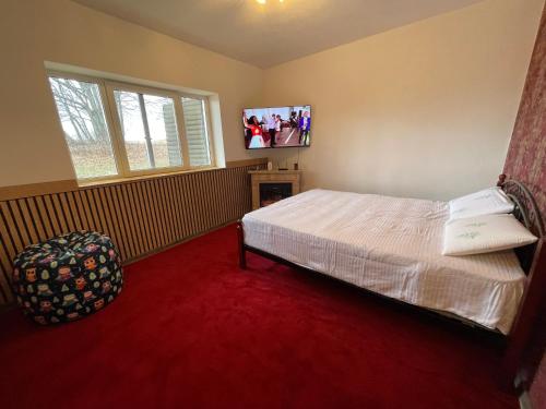 1 dormitorio con 1 cama y TV en la pared en Muntele Semenic, en Semenic