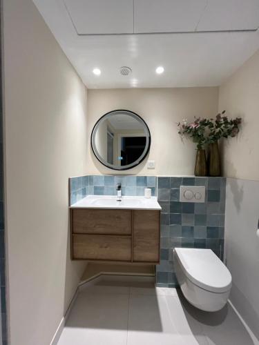 une salle de bain avec un lavabo, des toilettes et un miroir dans l'établissement Appartement sur la Pinède à Juan les pins, à Antibes