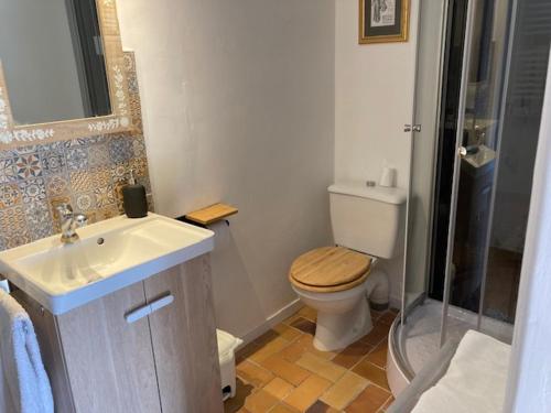 een badkamer met een toilet, een wastafel en een douche bij Idyllic French farmhouse in Les Assions