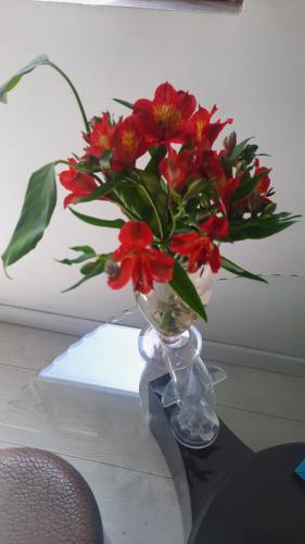um vaso cheio de flores vermelhas sobre uma mesa em Center apartament em Fier