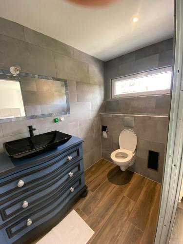 a bathroom with a sink and a toilet at La villa in Nernier