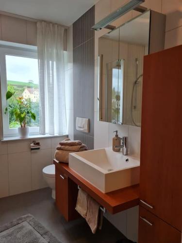 a bathroom with a sink and a toilet and a window at Ferienwohnung Panoramablick in Bad Mergentheim