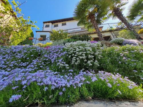 Κήπος έξω από το Al Nifontano B&B - Ideal for Family or Couples - 2 Rooms - Lakeview