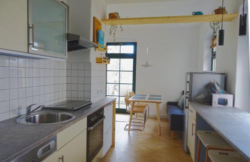 cocina con fregadero y encimera en FEWO mit Sauna & Gartenblick en Neustadt in Sachsen