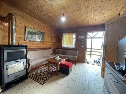 佩爾梅特的住宿－Origjina Farm，带沙发和炉灶的客厅
