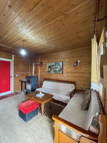 a bedroom with two beds and a table in a room at Origjina Farm in Përmet