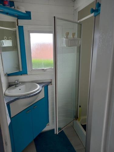 La salle de bains est pourvue d'un lavabo et d'une douche en verre. dans l'établissement MAISON AVEC VUE MER, à Saint-Côme-de-Fresné