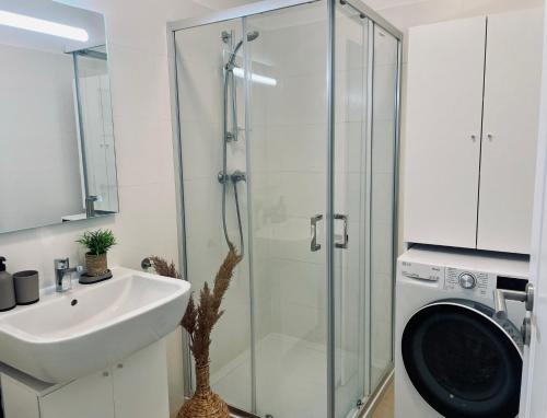 科希策的住宿－Apartment Kasarenske namestie，带淋浴、盥洗盆和洗衣机的浴室