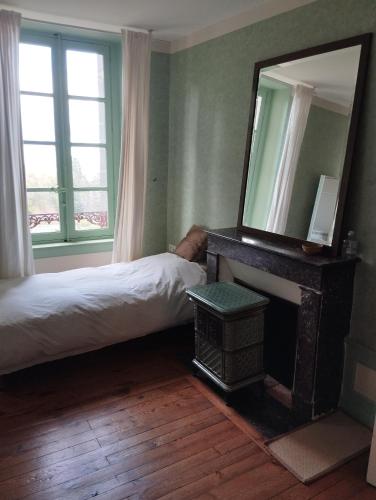 a bedroom with a mirror and a bed and a fireplace at Chambres d'hotes au Domaine des Possibles in Orcines