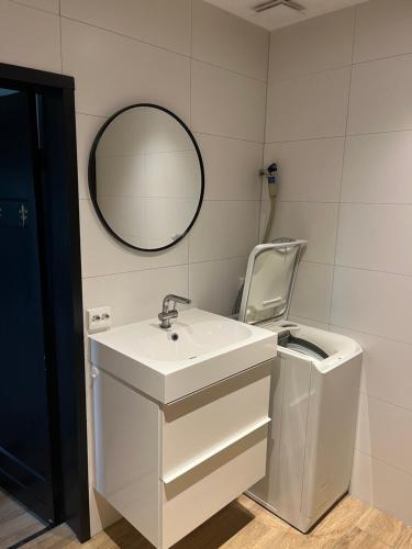 a bathroom with a white sink and a mirror at De Overkant in Voorst