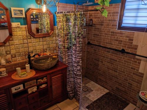 a bathroom with a shower curtain and a sink at Les chambres de la casa d'Elena in Cholet