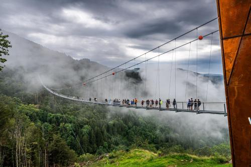 un grupo de personas en un puente colgante en las montañas en Apartment 10 - Ferienresidenz Roseneck, mit Schwimmbad in Todtnauberg bei Feldberg en Todtnauberg