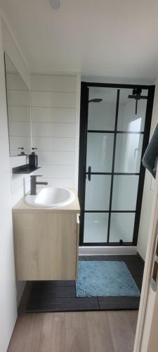 a bathroom with a sink and a glass shower at Chalet Sea-renity Lakeside met jacuzzi in Jabbeke