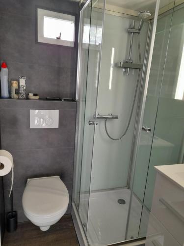 A bathroom at Texel Chalet 67