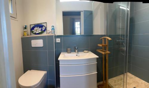 ein Bad mit einem WC, einem Waschbecken und einer Dusche in der Unterkunft Charmante petite maison avec piscine in Monguillem