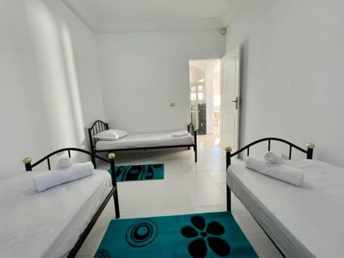 two beds in a room with a green rug at Villa Yasmine in Djerba