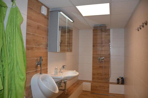 ein Badezimmer mit einem Urinal, einem Waschbecken und einer Dusche in der Unterkunft Pletz in Obdach