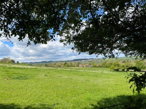 a field of green grass with a tree in the foreground at La pierre d'O in Longpré-les-Corps-Saints