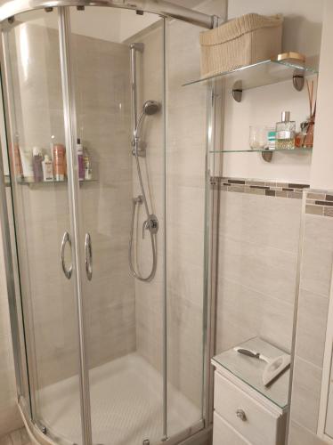 une douche avec une porte vitrée dans une salle de bain dans l'établissement Roca Sea Apartment, à Menton