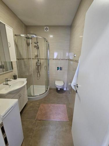 Koupelna v ubytování Apartman Paula