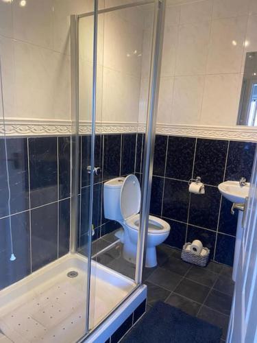 uma casa de banho com um WC, um chuveiro e um lavatório. em Olympic Place 1-bed Apartment em Rowley Regis
