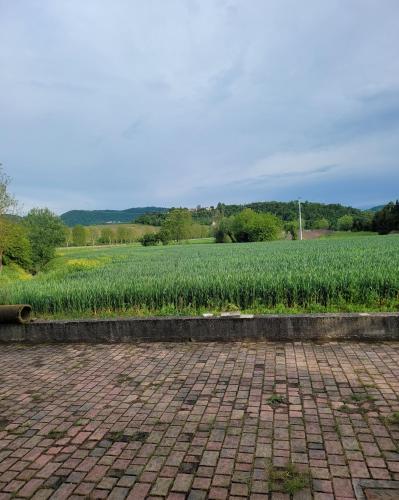 un campo de cultivos verdes con una carretera de ladrillo en Casa dei Prati, en Brendola