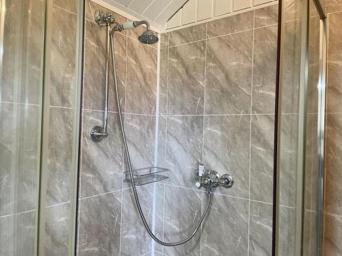 a shower with a glass door in a bathroom at Lovely shepherds hut in Cornwall in Camelford