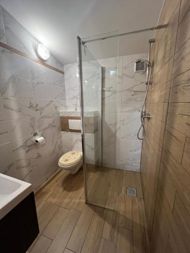 uma casa de banho com uma cabina de duche em vidro e um WC. em Domek obity dechami em Hartowiec