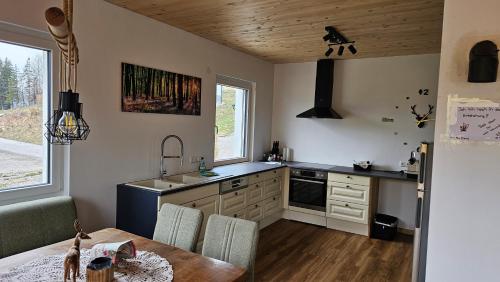 a kitchen with a sink and a table in a room at Christians Alpenparadies in Bad Mitterndorf