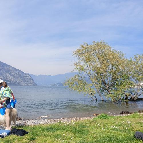 Gallery image of la Casa del Patio in Iseo
