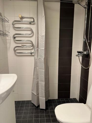 La salle de bains est pourvue d'une douche, de toilettes et d'un lavabo. dans l'établissement Apartment Tehtaankatu, à Kokkola