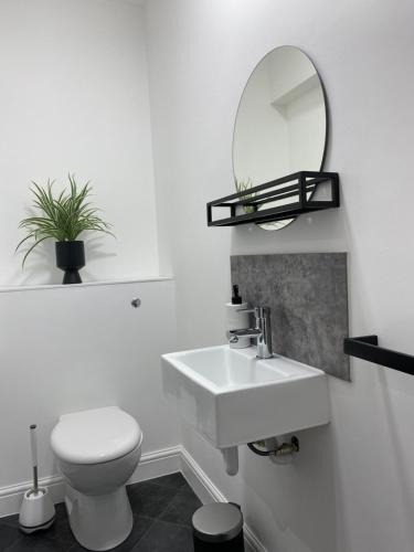 een badkamer met een wastafel, een toilet en een spiegel bij Adorable 1 bedroom guesthouse in Burford