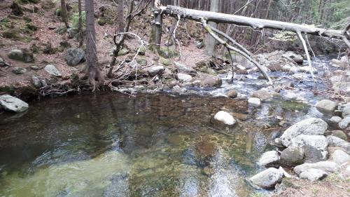a stream of water with rocks in a forest at APARTAMENT PRZY SZLAKU, Podgórzyn Górny, Żołnierska 73a in Podgórzyn