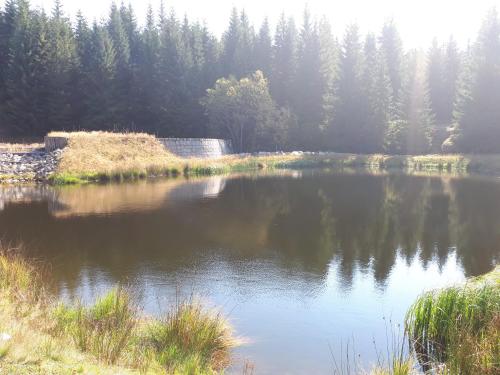 a body of water with trees in the background at APARTAMENT PRZY SZLAKU, Podgórzyn Górny, Żołnierska 73a in Podgórzyn