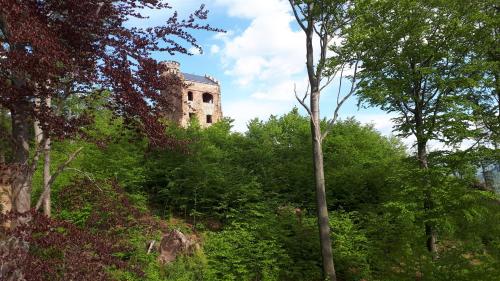 an old building on top of a hill with trees at APARTAMENT PRZY SZLAKU, Podgórzyn Górny, Żołnierska 73a in Podgórzyn