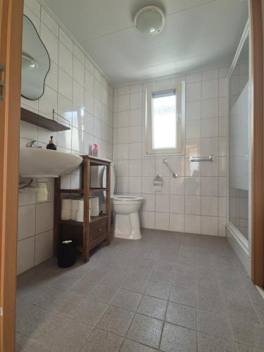 La salle de bains est pourvue d'un lavabo, de toilettes et d'une douche. dans l'établissement vakantiehuisje Holterberg, à Holten