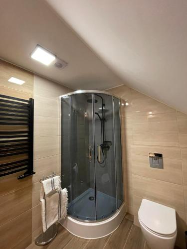 a bathroom with a shower and a toilet at Apartament 4 os u Króla in Biały Dunajec