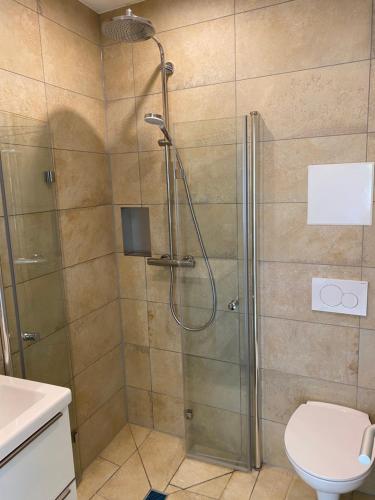 a bathroom with a shower with a toilet and a sink at Vogelnest Vilshofen W-Lan Küche 24h Checkin in Vilshofen an der Donau