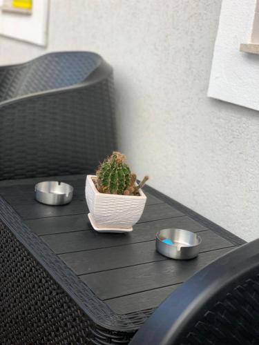a table with a plant and two bowls on it at Ridi's Comfort Apartment 2 in Shkodër