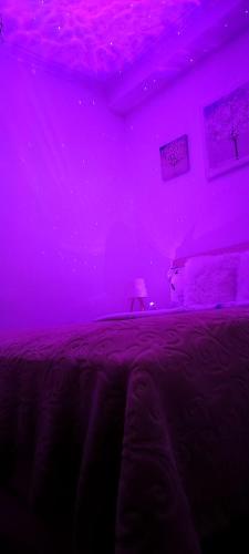a purple room with a bed with a purple ceiling at Ridi's Comfort Apartment 2 in Shkodër