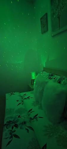 a green bedroom with a bed with fish on it at Ridi's Comfort Apartment 2 in Shkodër