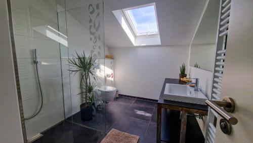a bathroom with a shower and a sink and a toilet at MaMi Apartments - Cloud 9 in Pliezhausen