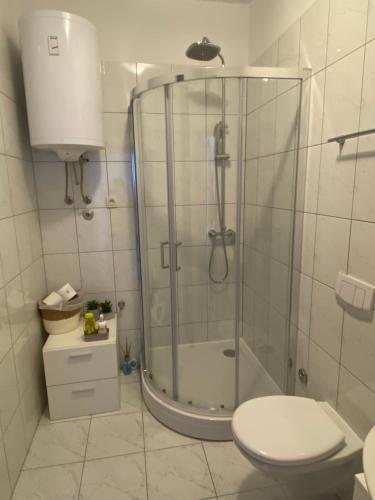 a bathroom with a shower and a toilet at Apartment Dome in Split