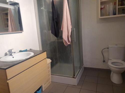 uma casa de banho com um chuveiro, um lavatório e um WC. em Studio in het hartje van Geel em Geel