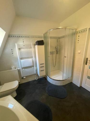 ein Bad mit einer Dusche und einem WC in der Unterkunft Dům na Kollárce in Znojmo